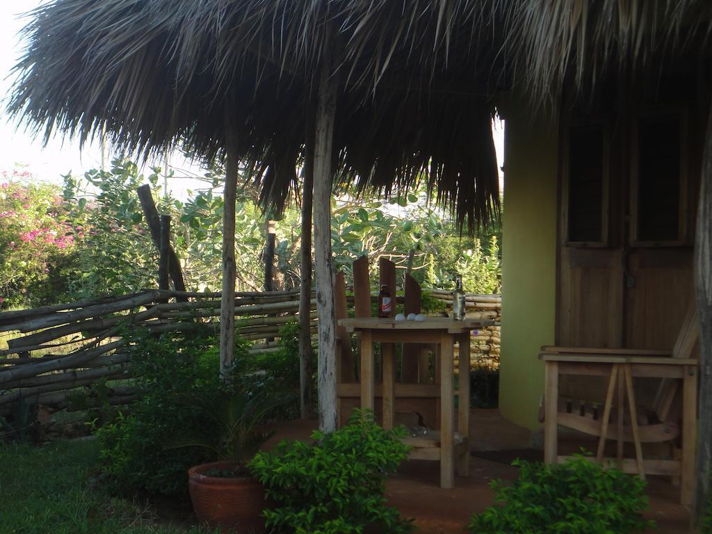 Kudehya Guesthouse Treasure Beach Quarto foto
